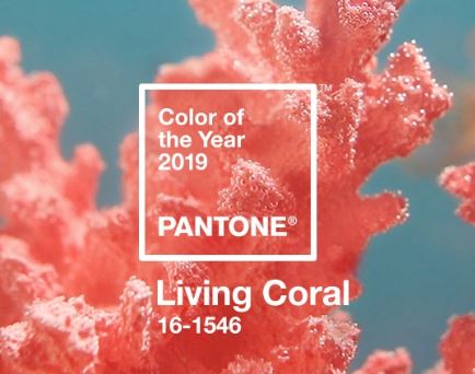 a shot of a coral reef with the description Color of the Year 2019